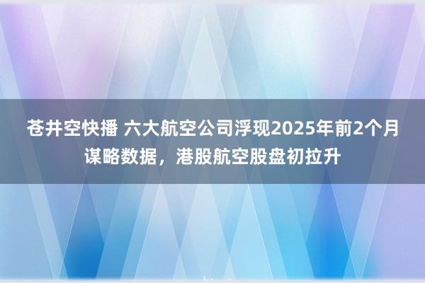 苍井空快播 六大航空公司浮现2025年前2个月谋略数据，港股航空股盘初拉升