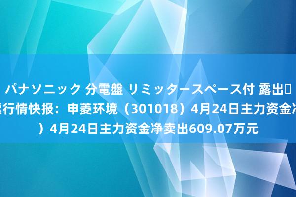 パナソニック 分電盤 リミッタースペース付 露出・半埋込両用形 股票行情快报：申菱环境（301018）4月24日主力资金净卖出609.07万元
