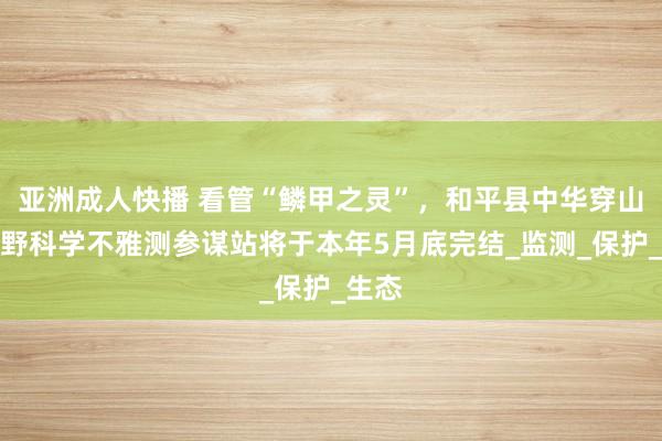 亚洲成人快播 看管“鳞甲之灵”，和平县中华穿山甲田野科学不雅测参谋站将于本年5月底完结_监测_保护_生态