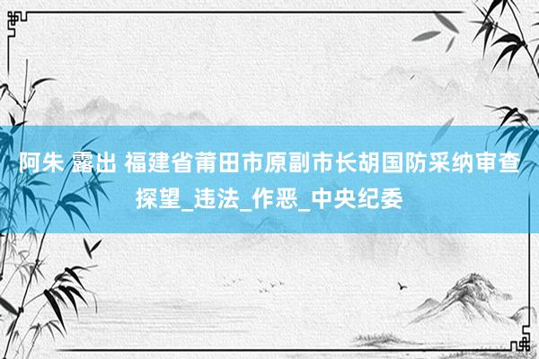 阿朱 露出 福建省莆田市原副市长胡国防采纳审查探望_违法_作恶_中央纪委