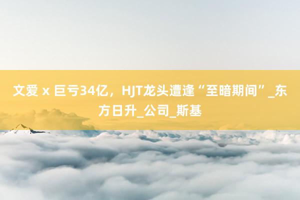 文爱 x 巨亏34亿，HJT龙头遭逢“至暗期间”_东方日升_公司_斯基